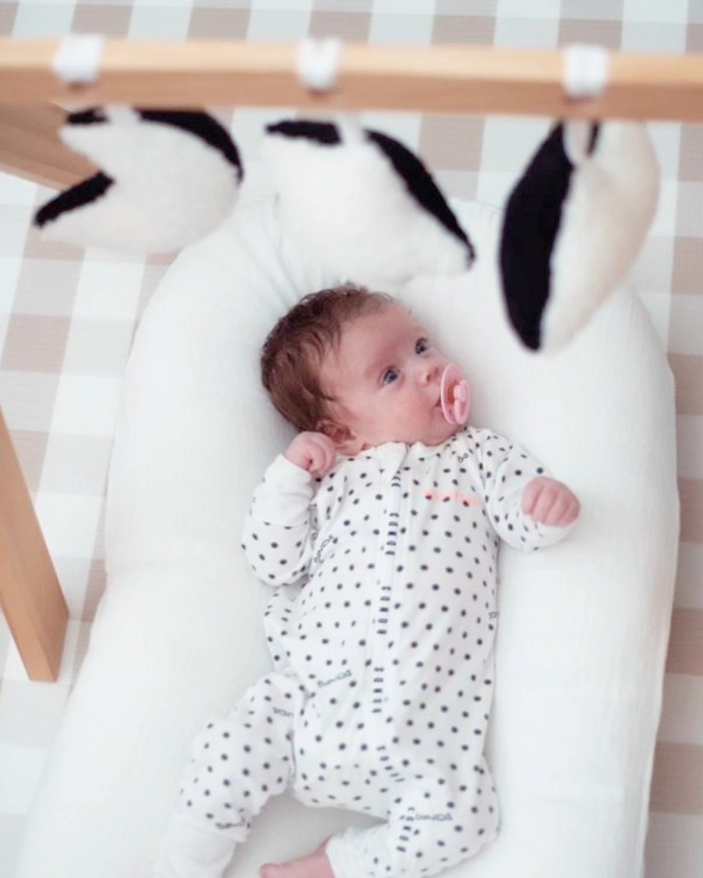 Contrast Sensory Plush Charm