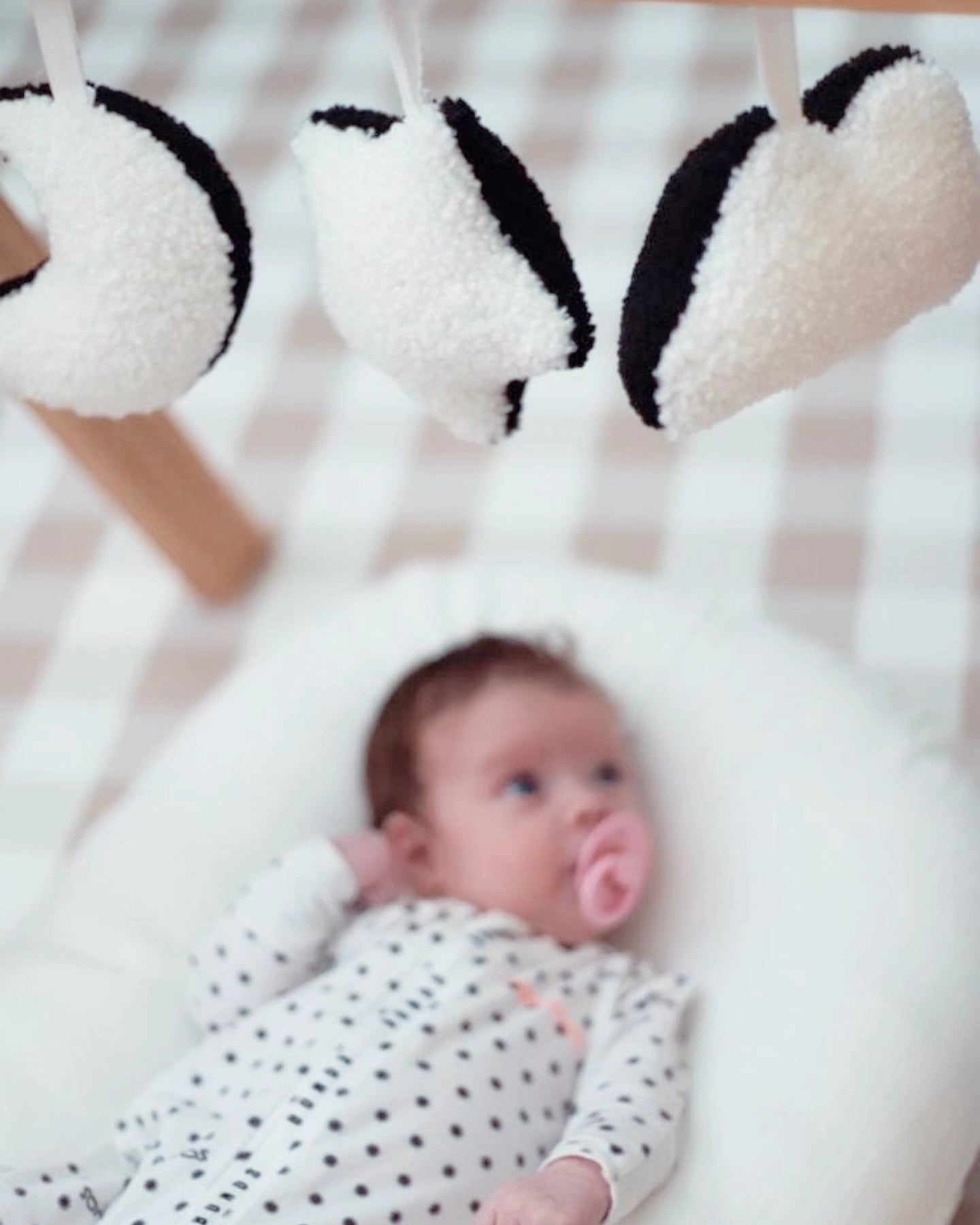 Contrast Sensory Plush Charm